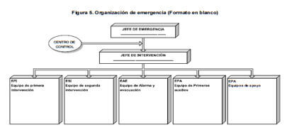 organigrama1